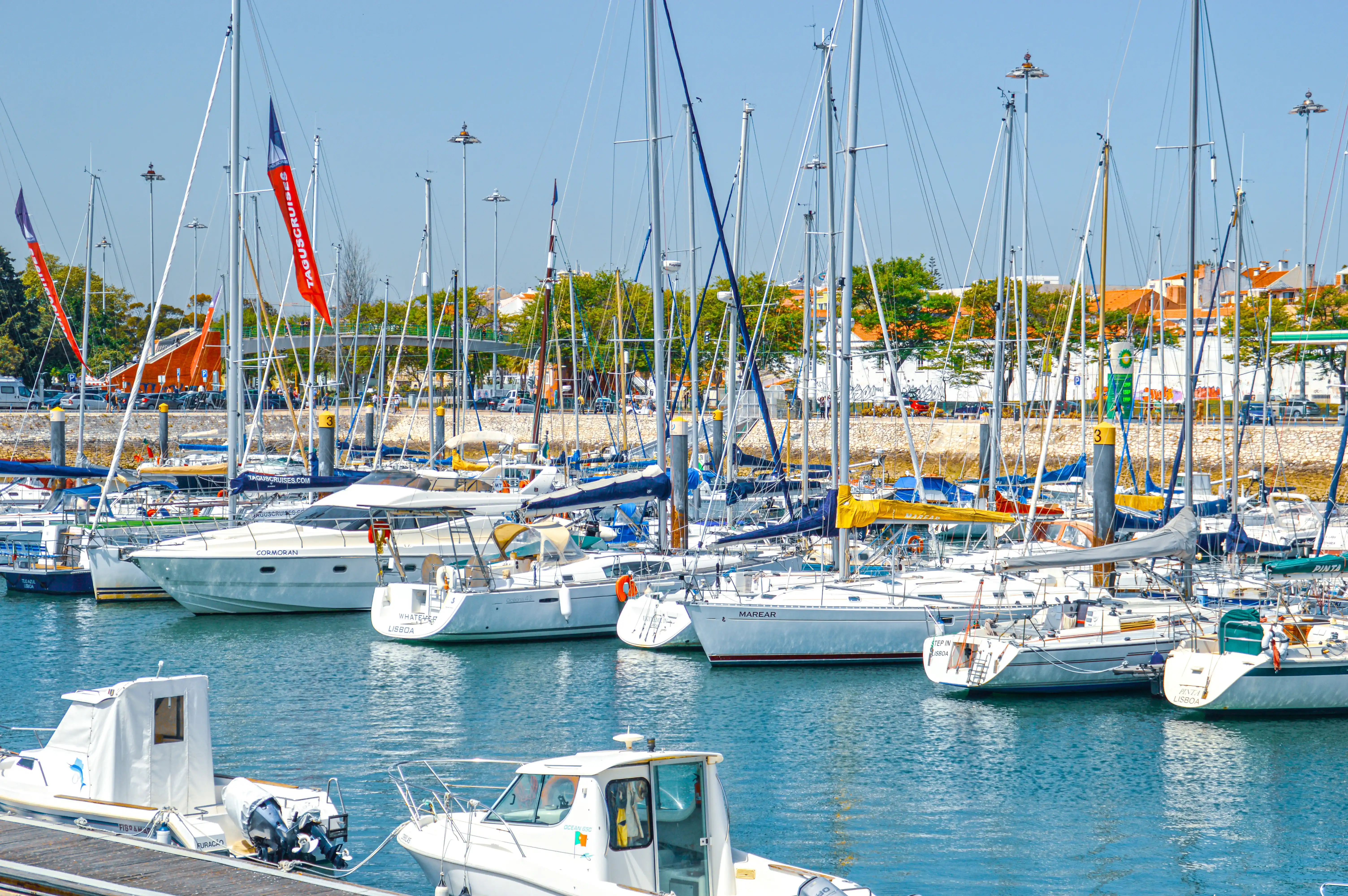 A wide shot of a marina packed with white sailboats of various sizes, their masts reaching towards a clear blue sky. Some boats have colourful flags and sails, and in the background, there are trees, buildings, and a road with cars.